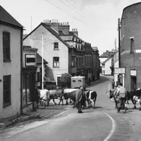 Watchet's Historical Buildings